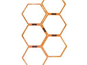 Träningsringar MASTER Hexa