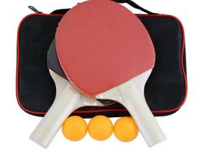 Tischtennisset MASTER T30