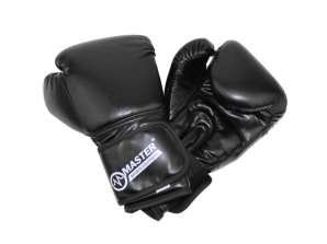 Boxhandschuhe MASTER TG10