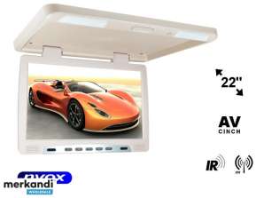LCD Monitor für Deckenmontage 22 Zoll LED IR FM VGA