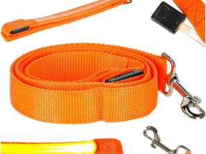 Laisse pour chien LED 2 5x120cm orange