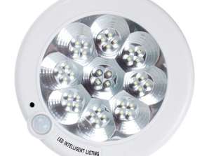 ZD55A LED-portaamppu tuntumalla. Liikenne