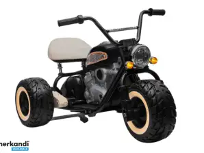 Motor für Batterie Dreirad LL6688 schwarz 24V