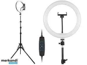 TRACER RING 30cm žiedinė lemputė su 210cm stovu