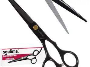 Ciseaux de Coiffure Soulima 21461