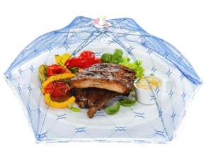 AG498 MOSQUITO NET FOOD COVER