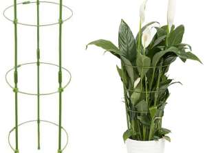 AG691G RING SUPPORT 60CM PLANT