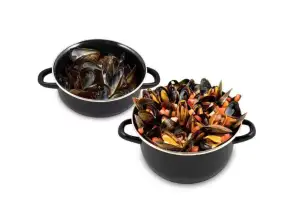 Rosberg R54525A22, Enamel Mussels pot 22x11сm.\5l., Induction, Black