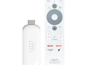 Homatics Stick HD CEN 84651