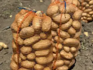 Patatas blancas de alta calidad de diversas variedades de origen Rumanía