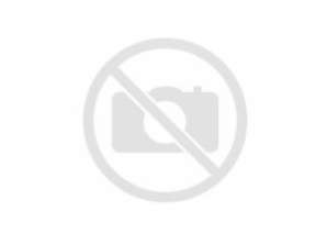 Vartco Home Garden Schlauch 1/2