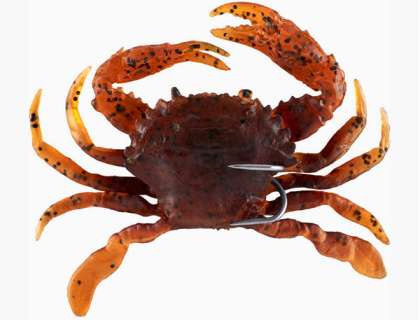 Crab lure 1+1- Crab bait, Crab trap, Crab pot - Slovenia, New