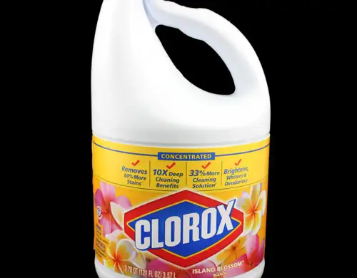 CLOROX ağartıcı ve dezenfekte etmek, kapatmayı silmek