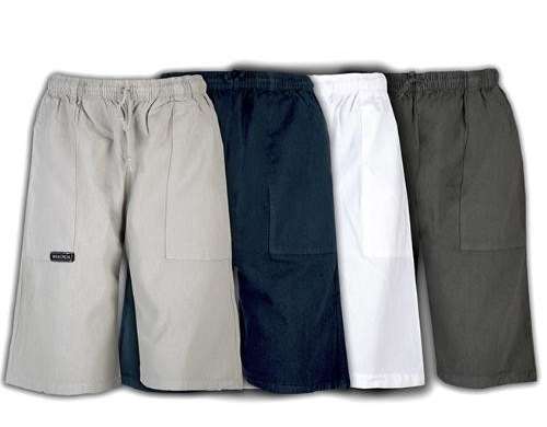 Men's Cotton Shorts Ref. 1021 - Sizes M to XXL in Assorted Colors