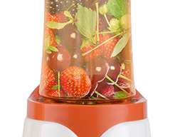 Smoothie Mixer Stand Blender 300 Watt 1,5 Liter TM-300.1 1501 orange