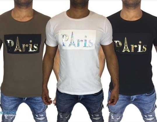  High quality men's T-shirts per piece 7,28 EUR [TS-1101.4_u]