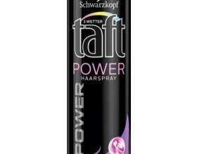 Spray pour cheveux Taft DWT
