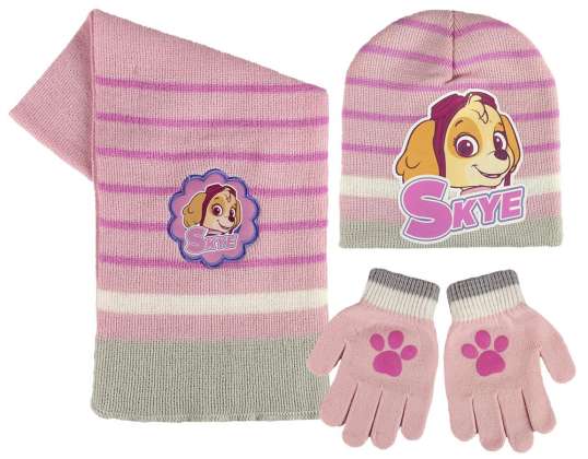 Set: Paw Patrol Herbst/Winter Mütze, Schal & Handschuhe - 2