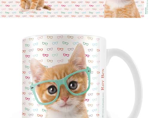 Studio Pets Ceramic Mug (Ray Ben) - 5050574233798