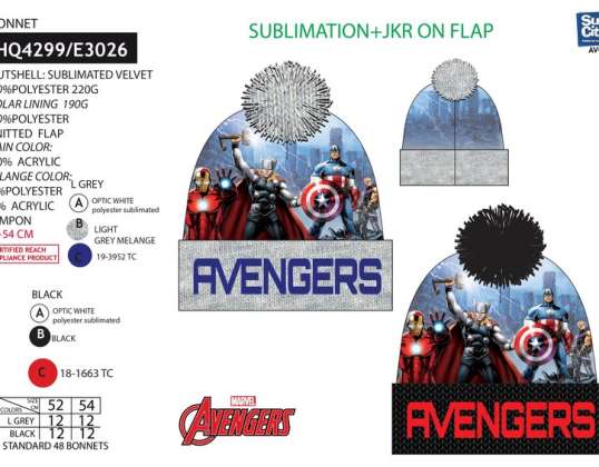 Avengers Autumn/Winter Hat - 3609081340899