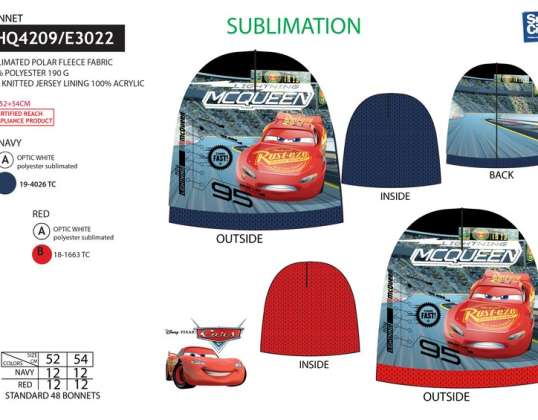 Cars Autumn / Winter Hat - 3609081340349