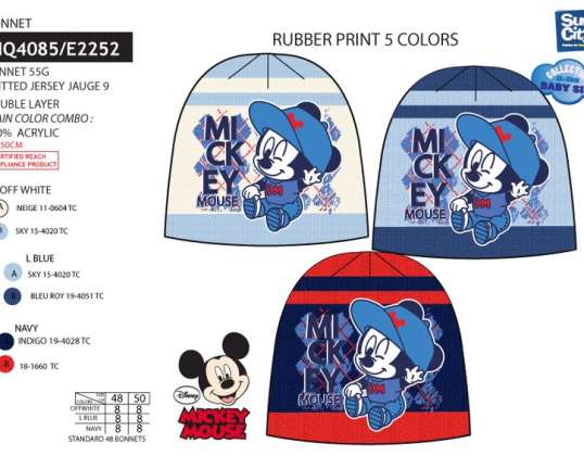 Mickey Mouse Autumn/Winter Hat - 3609081355367