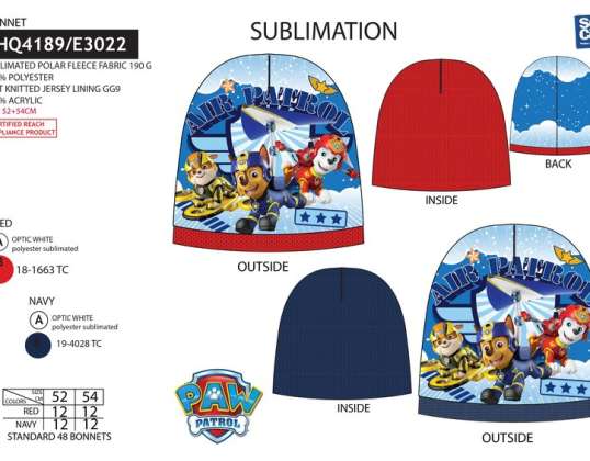 Sombrero Paw Patrol Otoño/Invierno - 3609081340141