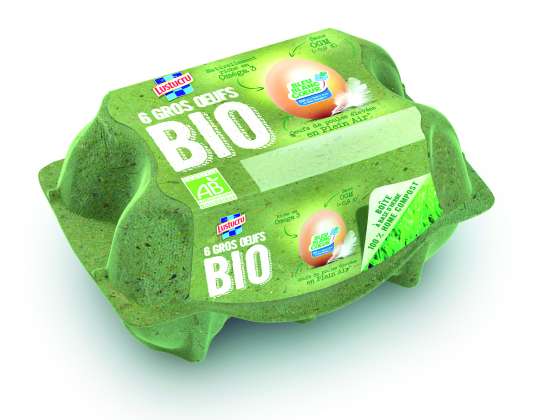 LUSTUCRU 6 OEUFS BIO GROS BBC   