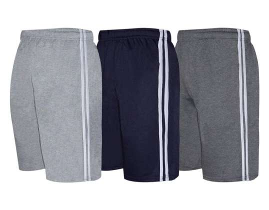 Sport Sports Shorts Ref. 2010 Assorted Colors.