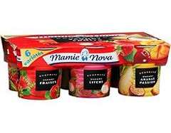 MAMIE NOVA - 6x150g yaourt dessert gourmand fruits panaches mamie nova