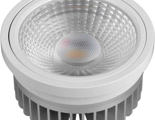 AR111 LED DELIA 20W HOLOFOTES