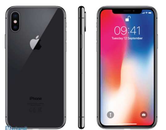 Apple iPhone X with 64 GB in space gray for EU with certificate