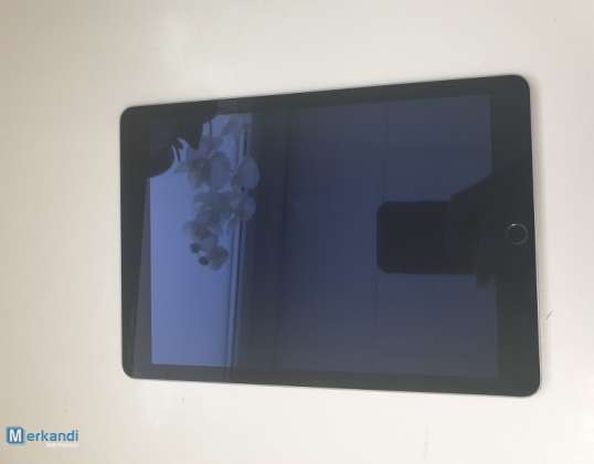 Apple iPad Air 2 64 Gt avaruusharmaa, käytetty kuntoluokka A, asiantunteva tukkumyynti