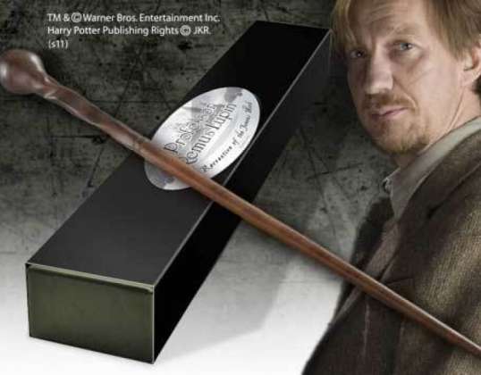 Harry Potter: Le mur du professeur Remus Lupin NN8298