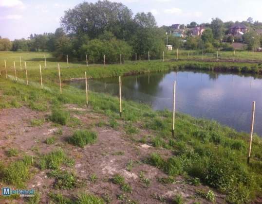 peat 4000 cubic meters.  0.34 hectares of land.  own reservoir