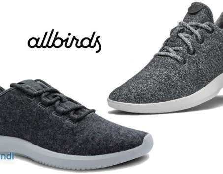 Allbirds &quot;Die bequemsten Schuhe der Welt!&quot; Mischbestand