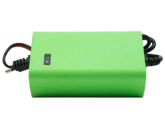 PNI M200 battery charger and rectifier for Gel and moto max. 20