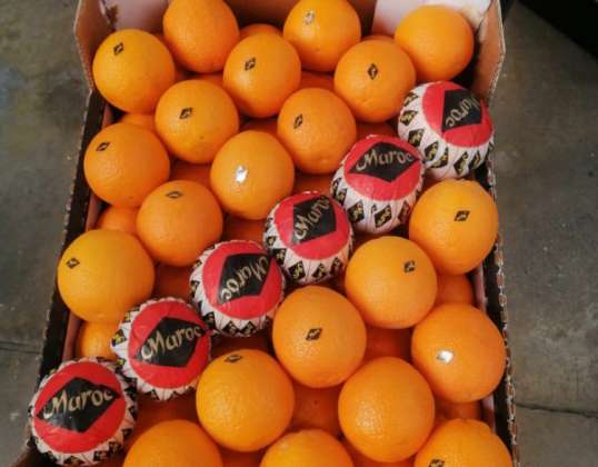 Orangen Valencia Marokko