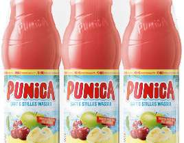 PUNICA SAFT