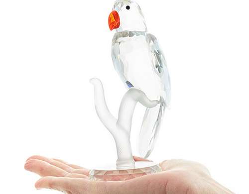 Clear crystal parrot on branch