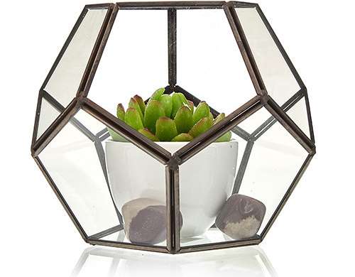 Terrarium lavet af glas / metal - stor ottekant