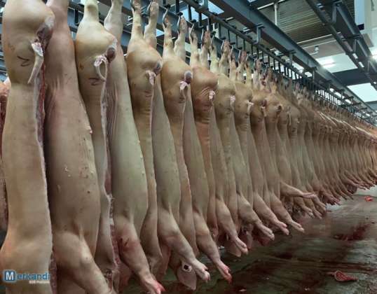 Schweinehälften aus Brasilien für China sofort verfügbar