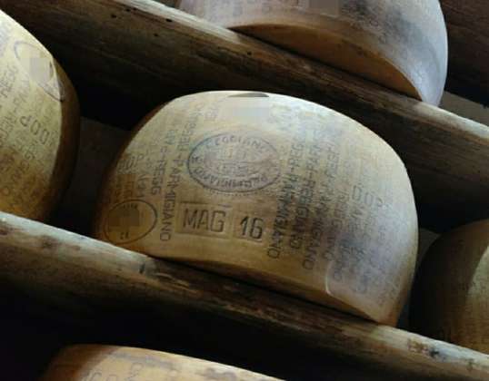 Dobavitelj sira na debelo - Original Parmesan Reggiano - 24 mesecev