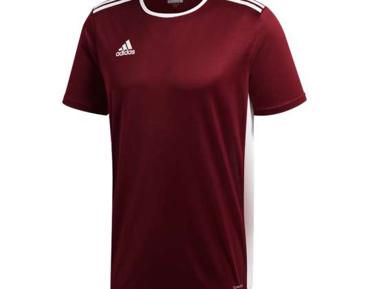 Men's T-shirt adidas Entrada 18 Jersey burgundy CD8430 CD8430