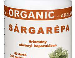 PORGANDI KAPSLID