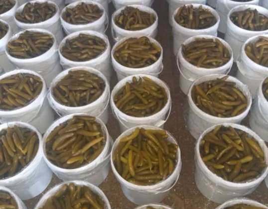 Pickled pickles, 10 kg net weight, without additives