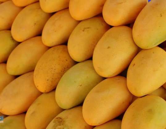 Mango wholesale stock - seasonal fruit sold in bulk