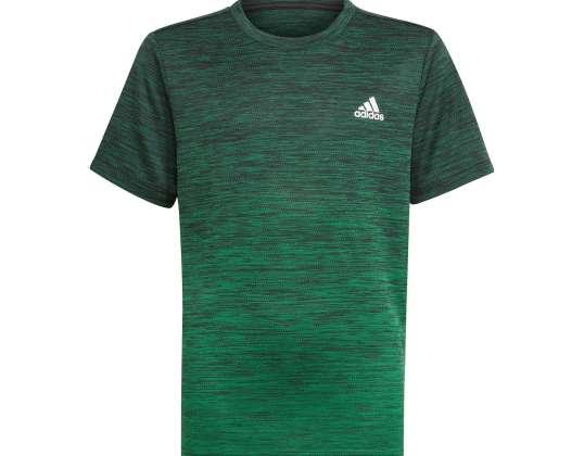 Camiseta adidas JR Gradient 183