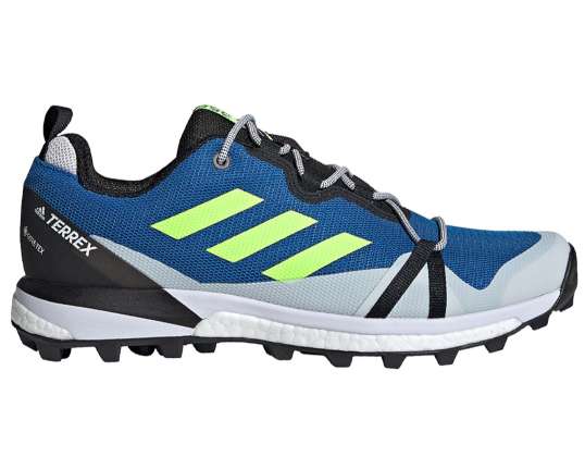 adidas Terrex Skychaser LT GTX 427