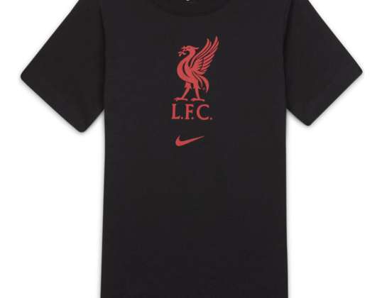 Nike Liverpool FC Evergreen Crest Kids T-shirt black CZ8249 010 CZ8249 010